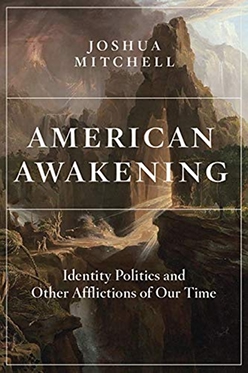 American Awakening: Identity Politics and Other Afflictions of Our Time